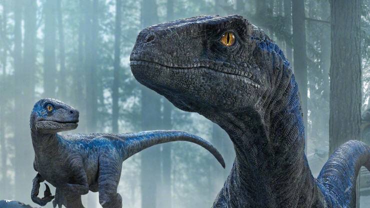 Источник: Universal