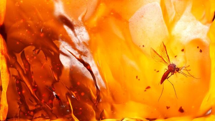 Источник: Empire