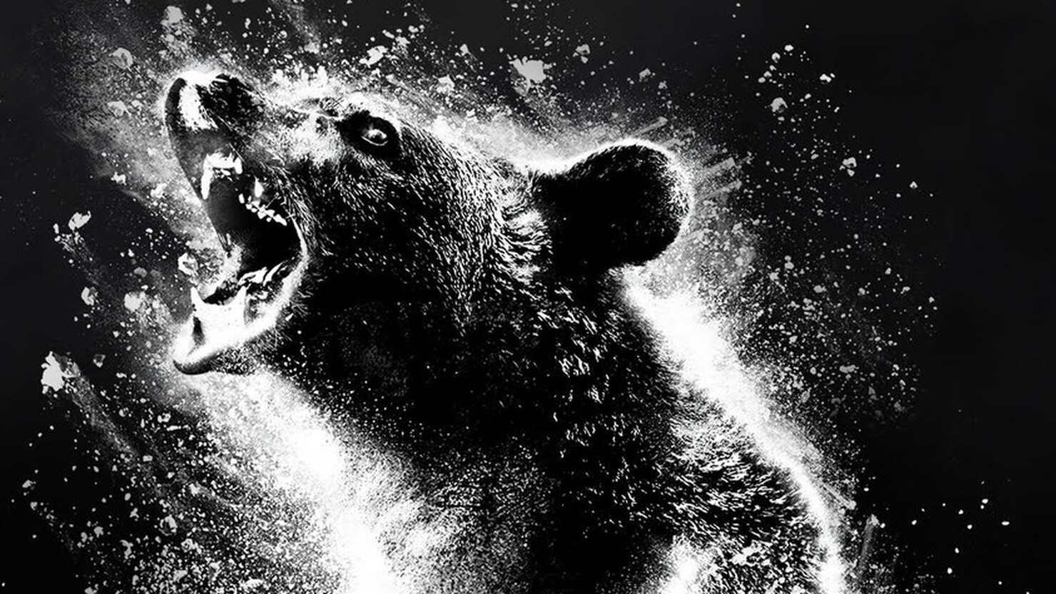 Медведь  и кокаин на постере триллера "Кокаиновый медведь"