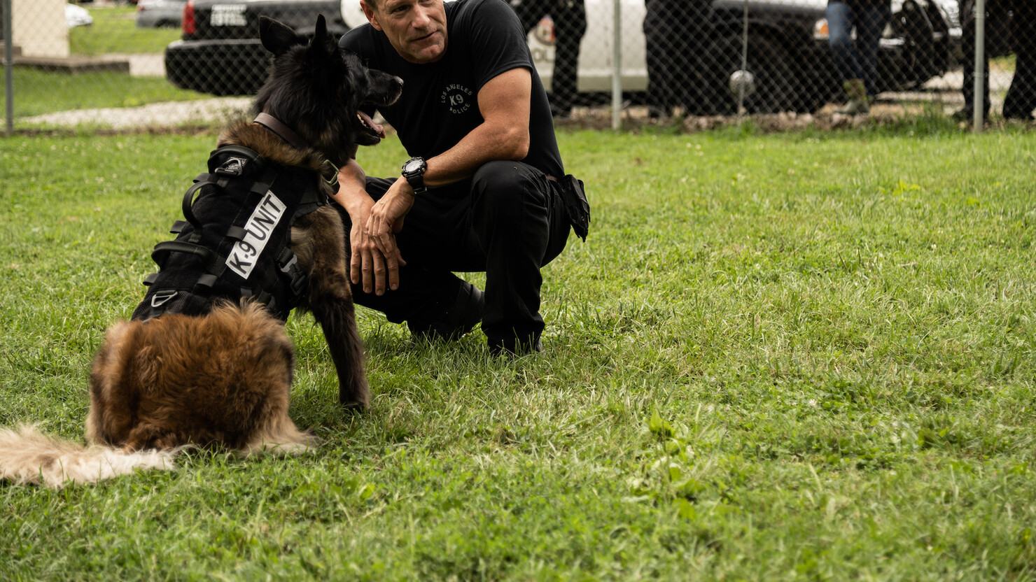 Собачья работа: коп Аарон Экхарт со своим четвероногим напарником из фильма «Намордник»