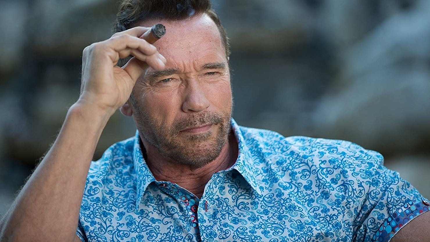 Следующий боевик с Арнольдом Шварценеггером вернёт нам сурового и несгибаемого Арни