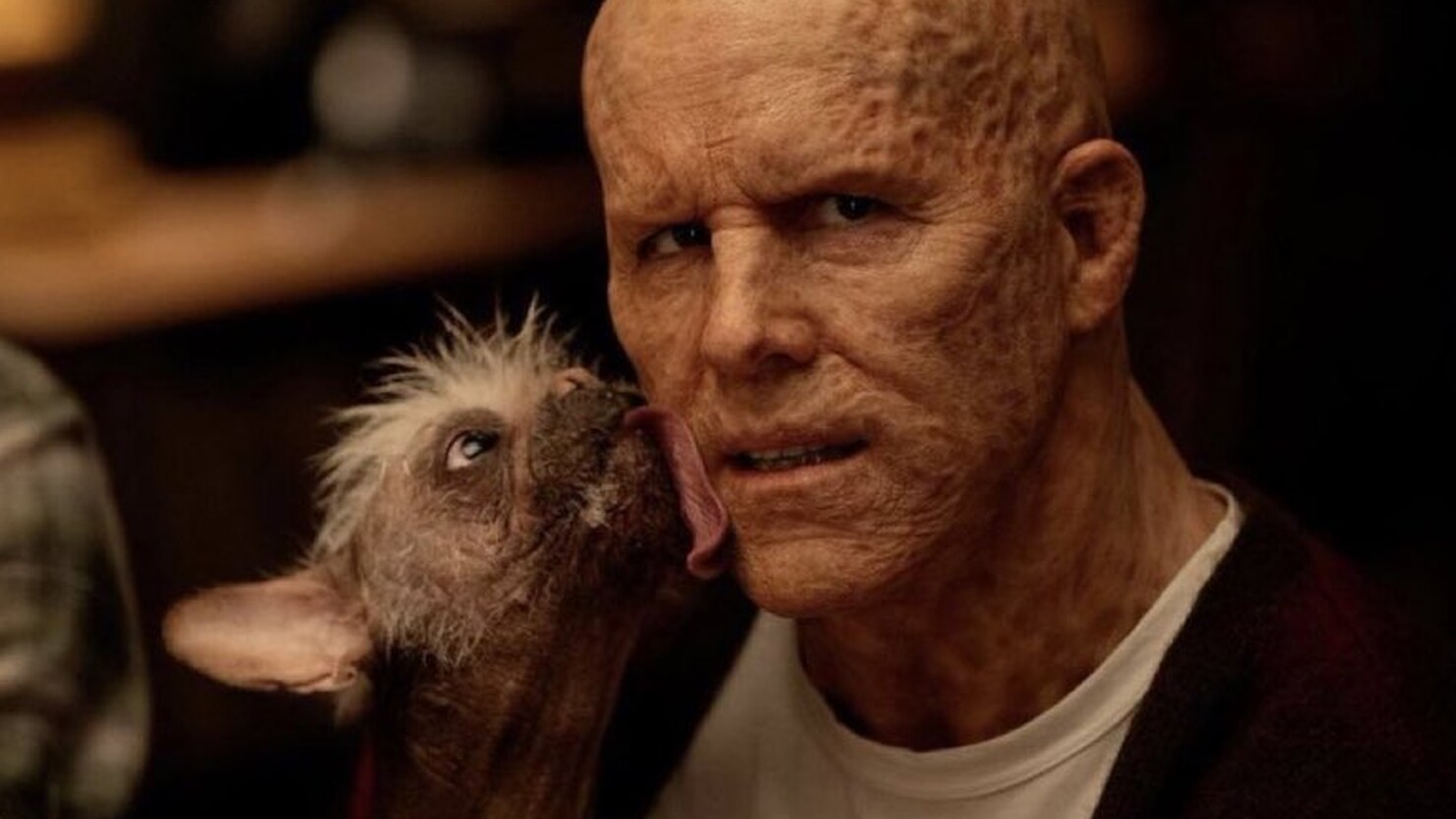 Дэдпул и Догпул на первом официальном кадре из «Дэдпула 3»