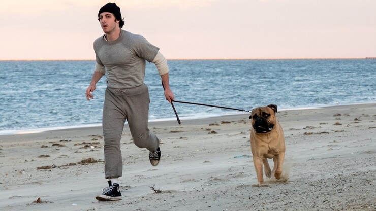 Источник: Amazon MGM