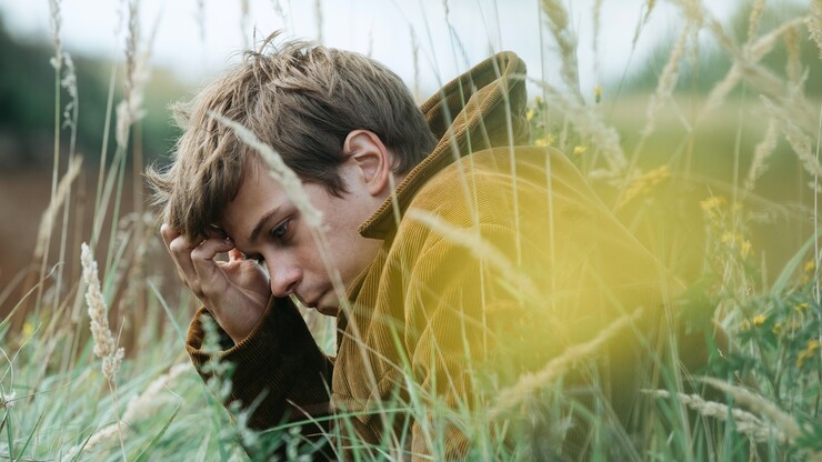 Источник: Okko, «Среда»