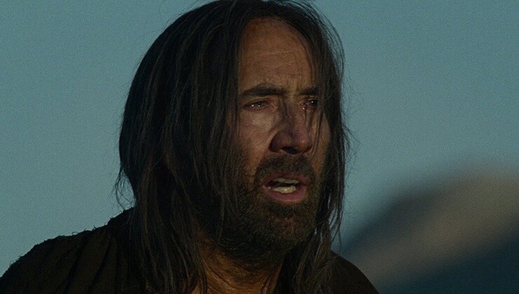 Источник: Magnolia Источник: Magnolia