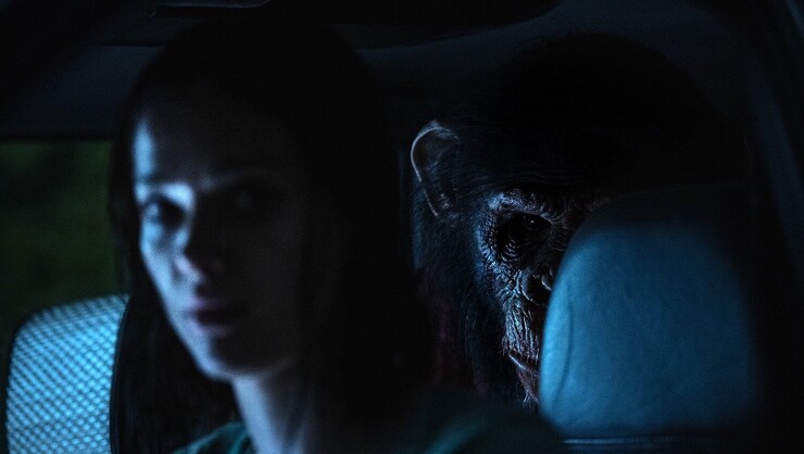 Источник: Sony