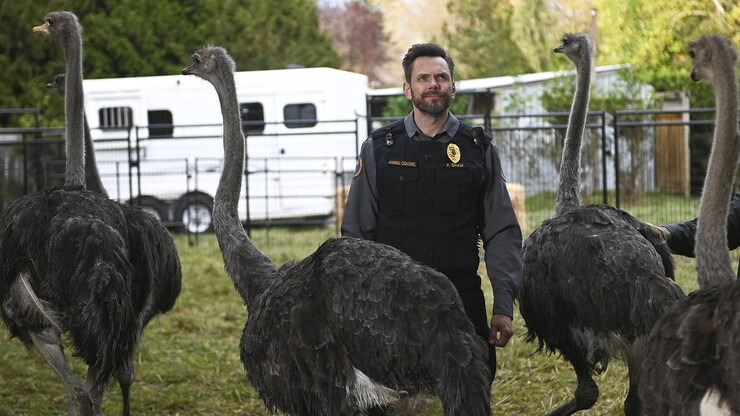 Источник: Fox